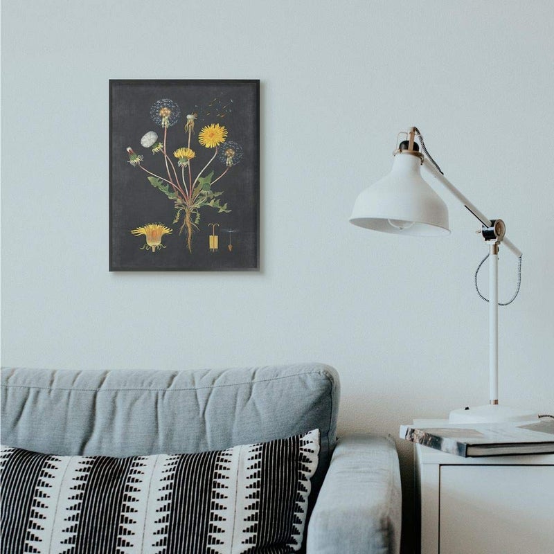 Stupell Industries Botanical Drawing Dandelion, Design by Artist Lettered and Lined Wall Art, 16 x 20, Black Framed - Image 2